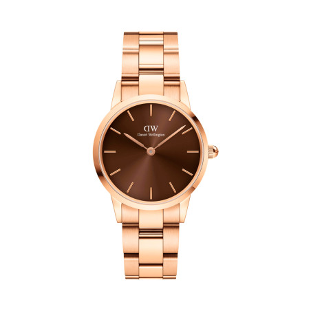 Montre en acier Iconic Link Amber - 28 mm - Doré rose et marron - 02 - 33646312