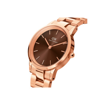 Montre en acier Iconic Link Amber - 28 mm - Doré rose et marron - 02 - 33646312