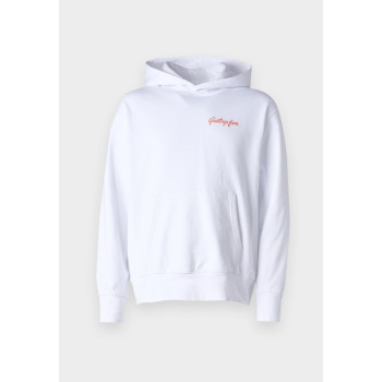 Levi's® Sweatshirt THE AUTHENTIC HOODIE - 01 - LE222S076|A12