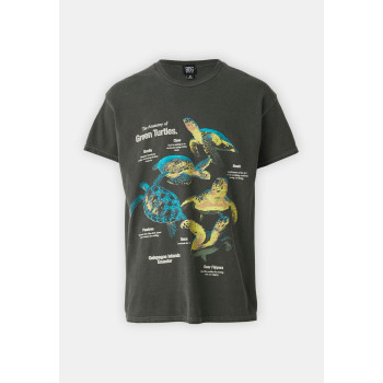 BDG Urban Outfitters T-shirt imprimé ANATOMY TURTLES TEE UNISEX - 01 - QX72100A3|Q11