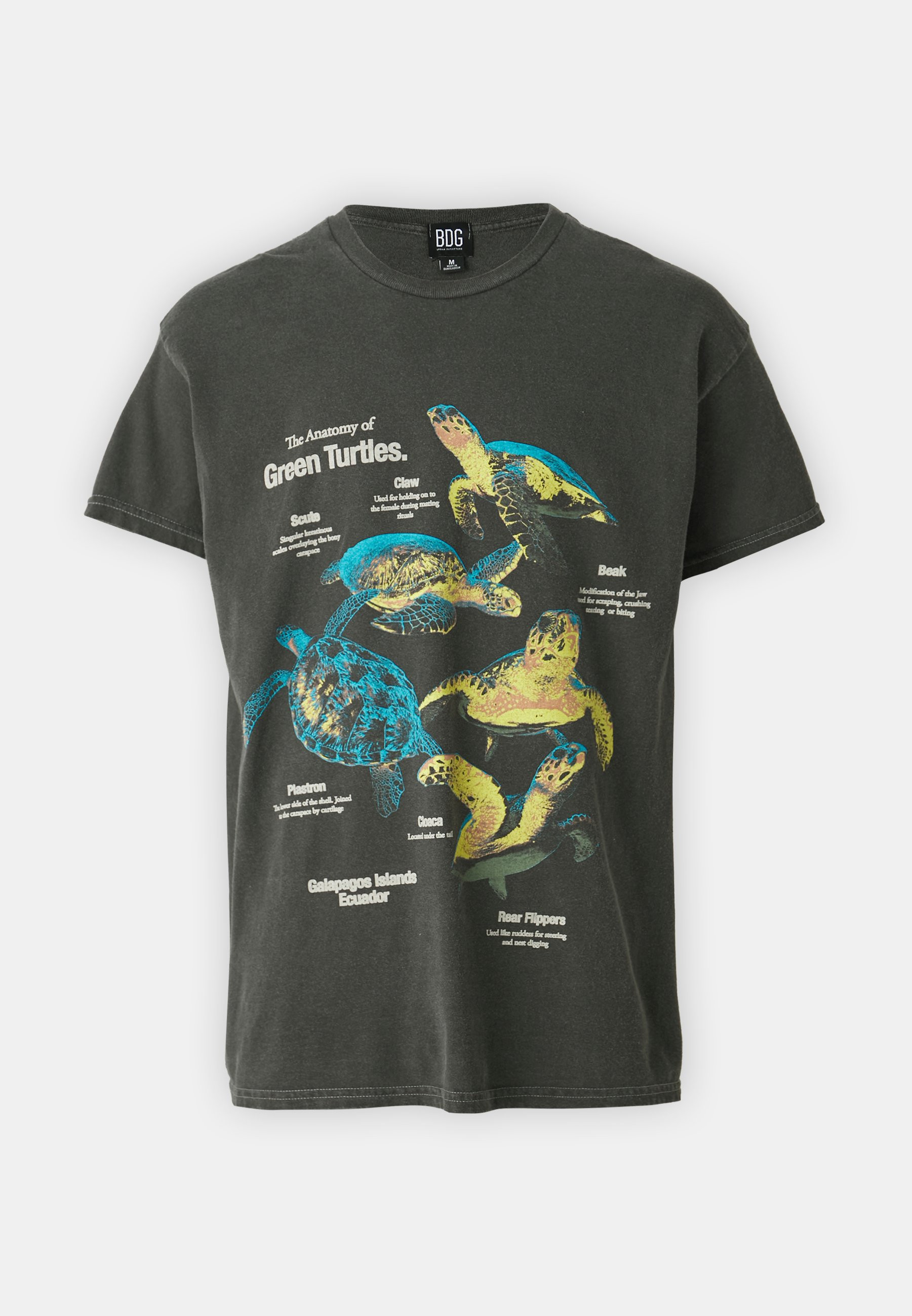 BDG Urban Outfitters T-shirt imprimé ANATOMY TURTLES TEE UNISEX - 01 - QX72100A3|Q11