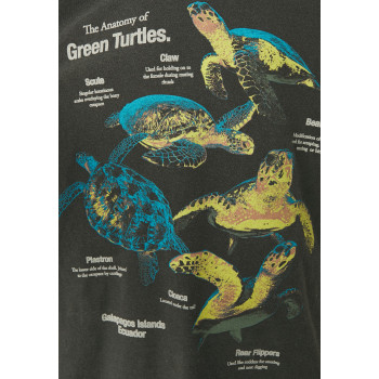 BDG Urban Outfitters T-shirt imprimé ANATOMY TURTLES TEE UNISEX - 01 - QX72100A3|Q11