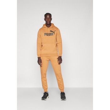 Puma Sweat à capuche BIG LOGO - 01 - PU142G0OY|O13