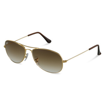 Lunette - Ray Ban - 06 - 3975