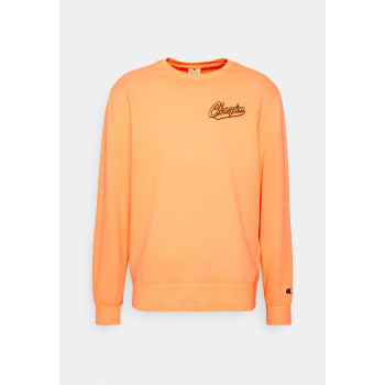 Champion Rochester Sweatshirt CREWNECK UNISEX - 01 - C4A21000V|H11