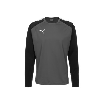 Puma Sweatshirt TEAMLIGA - 01 - PU142G0IX|C11