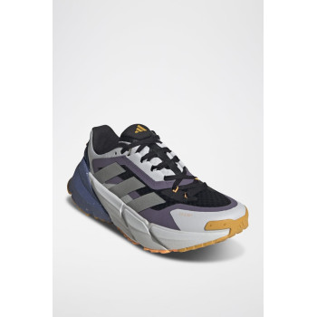 Chaussures de running Adistar C.Rdy - Gris - 02 - 34134645