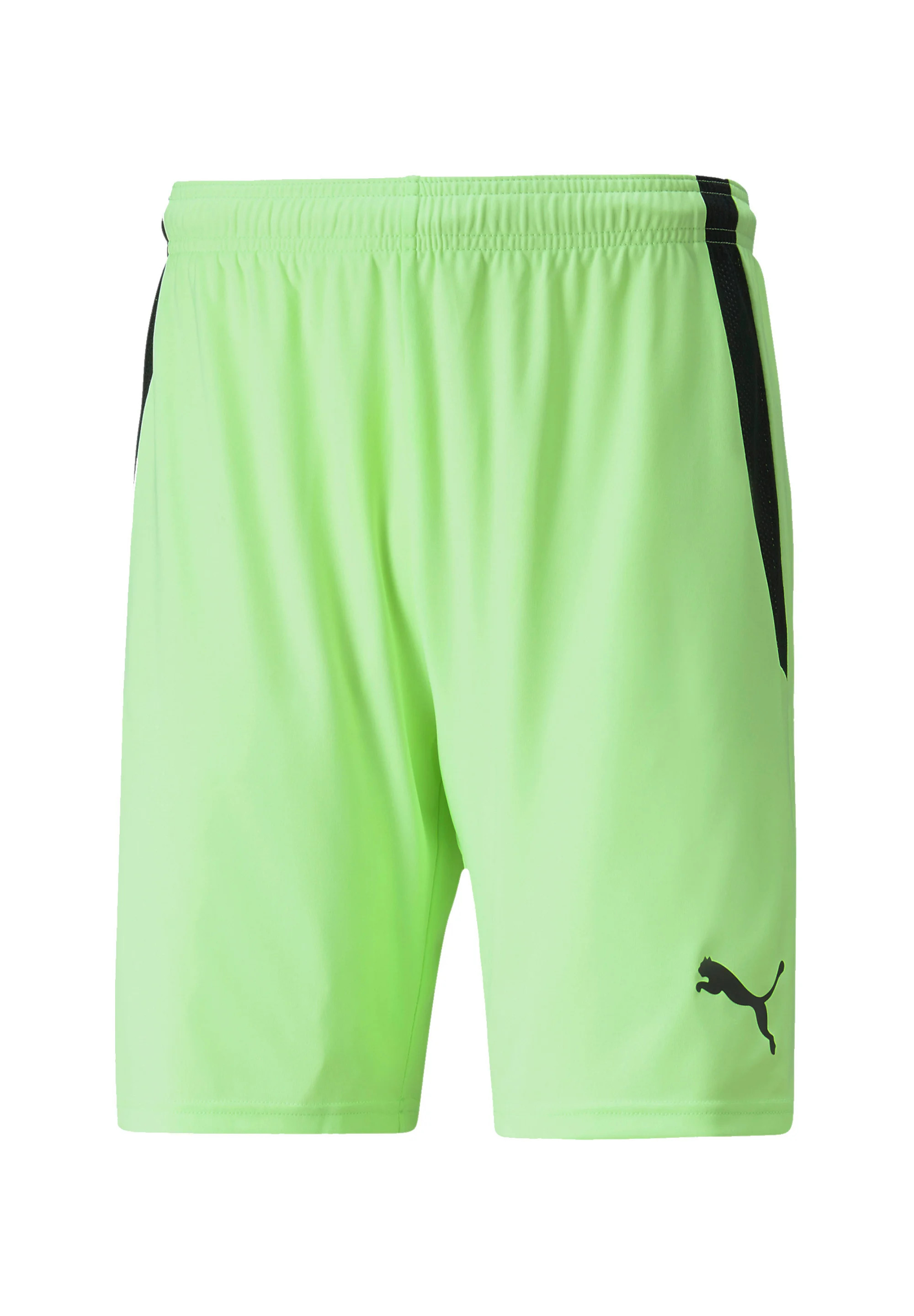 Puma  TEAMLIGA FOOTBALL Short vert XXL undefined