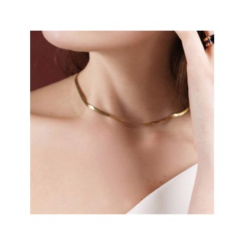 Collier En Titane Pour Femme De Style Ins De Chaîne D'os De Serpent En Acier, Collier Délicat Superposé En Plaqué Or 18k - 23922852