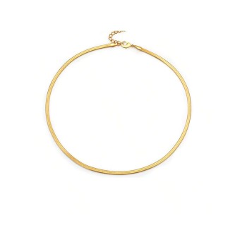 Collier En Titane Pour Femme De Style Ins De Chaîne D'os De Serpent En Acier, Collier Délicat Superposé En Plaqué Or 18k - 23922852