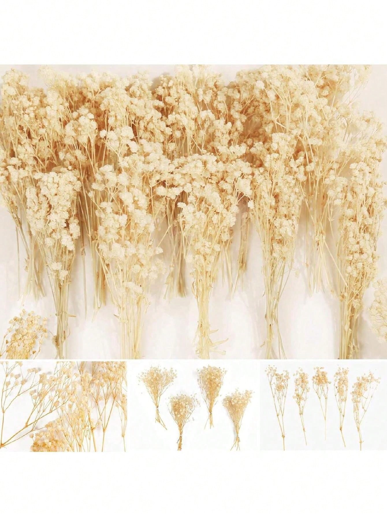 10/40/80 pièces Mini fleurs Gypsophile - 4000+ pour l art et l artisanat de moule de résine, bouquet de fleurs blanc ivoire pour accessoire de cheveux, couronne de mariage, vase de table, décoration de maison - 31652789