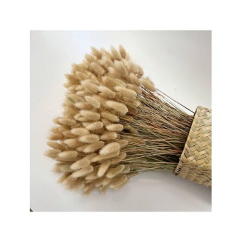 120 Pièces De Pampa Naturelle De Queue De Lapin Fleurie Sèche Pour La Décoration De La Maison De Style Bohème - 30469634