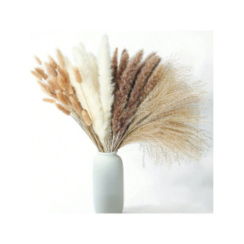 220 Pièces Bouquet De Fleurs Séchées En Forme De Queue De Lapin D' De Pampa, 17,3 Pouces (environ 44 Cm), Bouquet De Plumes De Style Bohème Pour Mariage, Maison, Table De Dîner, Décoration De Fête - 31017704