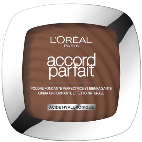 Poudre perfectrice de teint - Accord Parfait - 11.N Café profond - 03 - 33052768