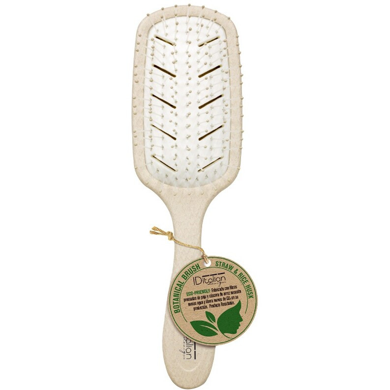 Brosse plate recyclable - 03 - 33076790